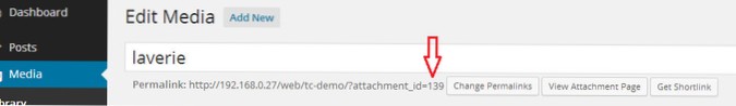 Changing default wp search string