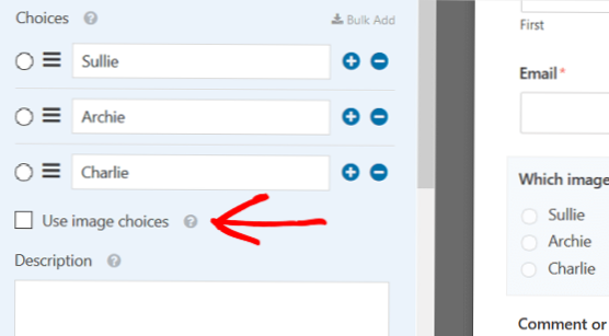 Radio Buttons on WPForm not working