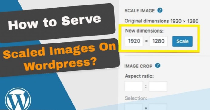 Serve scaled image for homepage logo