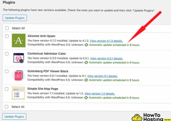 WordPress 5.5 Programma di aggiornamento automatico