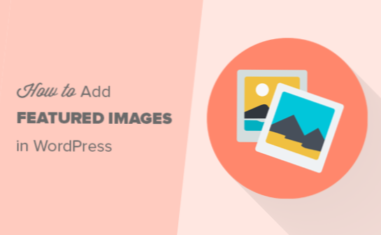 Can I use 'Featured Image' as a hero image and a thumbnail?