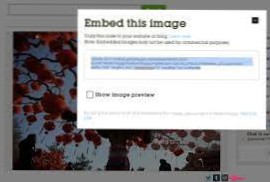 Er der nogen måde at indstille det Fremhævede billede i wordpress-indlægseditoren ved hjælp af en Getty images-indlejringskode