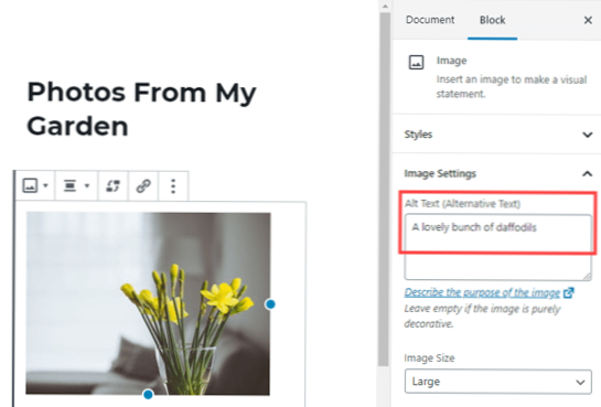 Schimbarea etichetei ALT pentru logo în wordpress