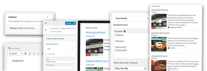 How can I display the category name in the single post when using WP Blog and Widget?