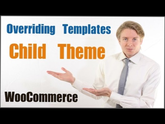 Override Dokan Includes File in Child Theme