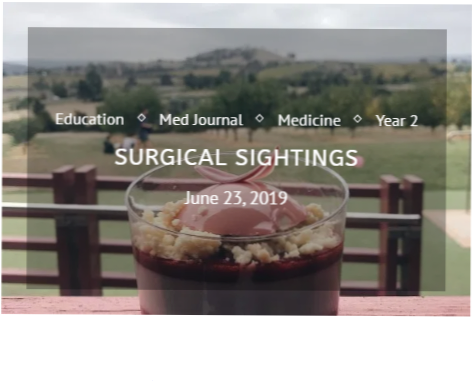 Trying to show the category of a post in the post display