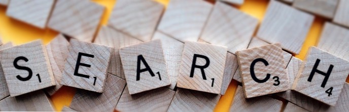 Different search results with Wordpress and Relevanssi