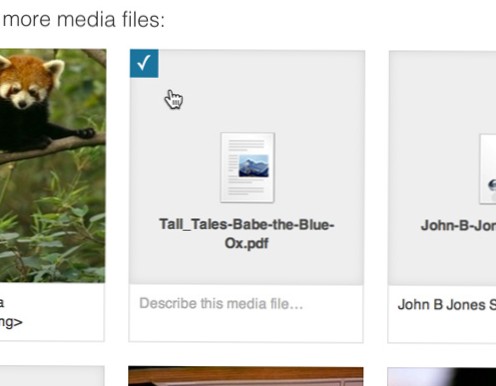 download link for uploaded images for wordpress
