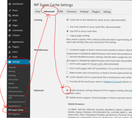 How do I enable dynamic content in a theme cached with WP Super Cache?