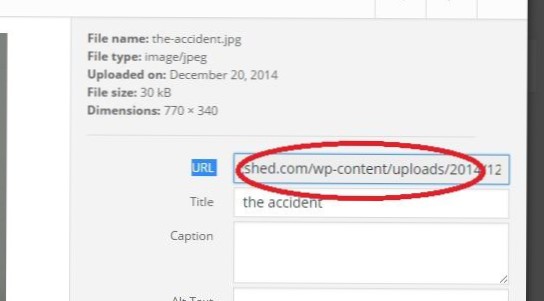 how to change wp upload directory to another domain directory