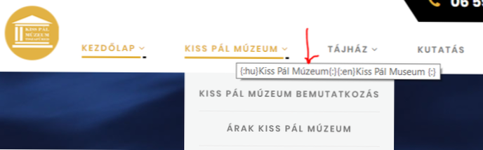 Jak odebrat popisky Nav-Menu? (Plugin Wp-Globus)