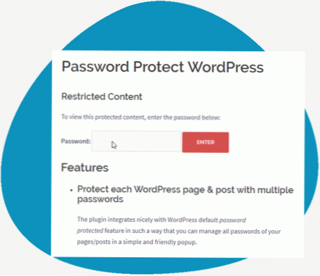 Proteger con contraseña el contenido de wp?
