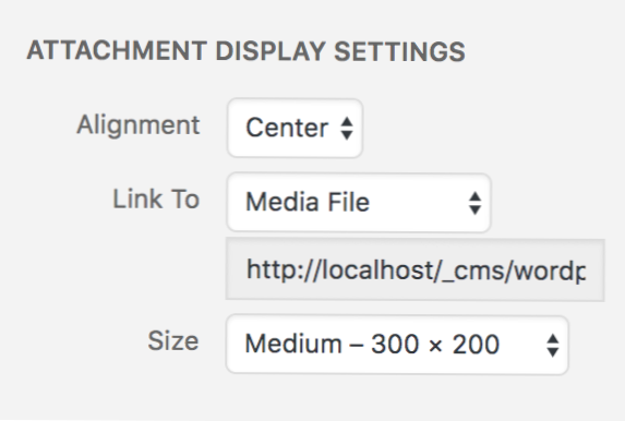Când inserați o imagine într-o postare, cum să legați imaginea la o adresă URL redimensionată în loc de adresa URL completă a imaginii?