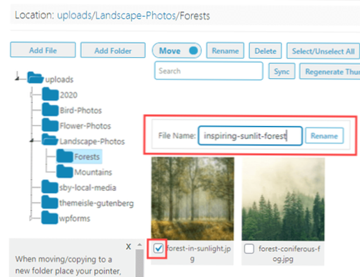 accessing files in custom folder in wordpress