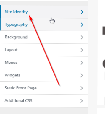Adding a custom field to the site identity menu