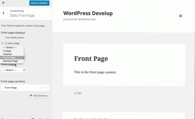 Mostra solo la tabella in the_content() nella pagina canonica