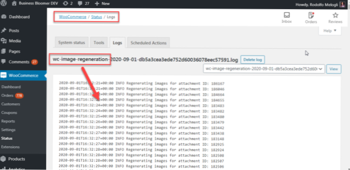 Where to write custom logs in WordPress