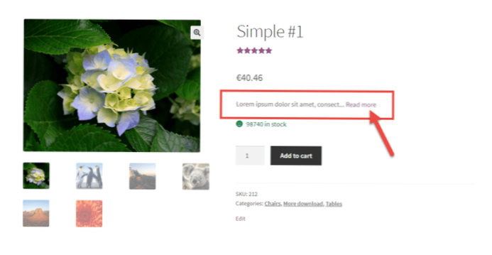 So löschen Sie Read More Span in der Einzelpost-Ansicht?