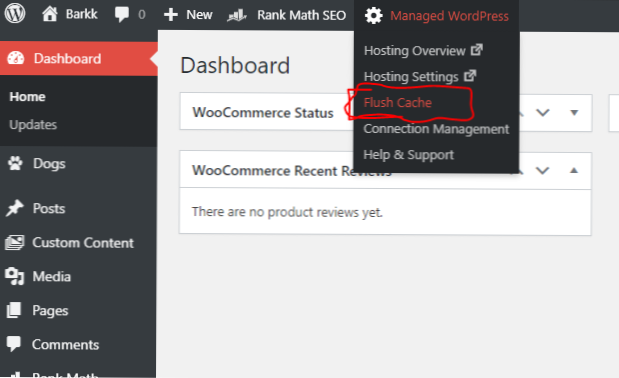 Wordpress style.css not updating, only after theme reload