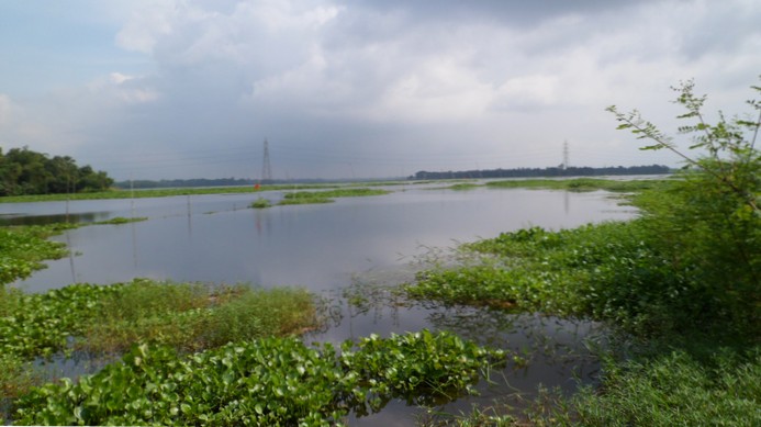 Override a Plugin Function