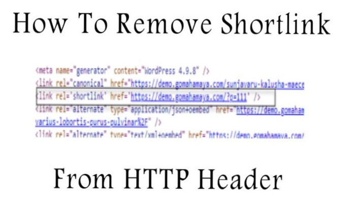 Odeberte rel = shortlink z HTTP hlavičky