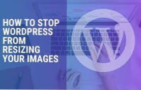 opriți wordpress de la redimensionarea imaginilor GIF cu caracteristici