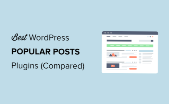 What is the best practice for displaying my plugin content in themes?