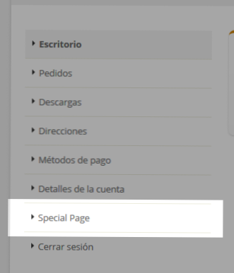 Woocommerce celní koncový bod